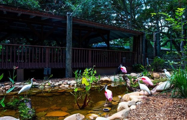 Gainesville Attractions - Santa Fe College Teaching Zoo