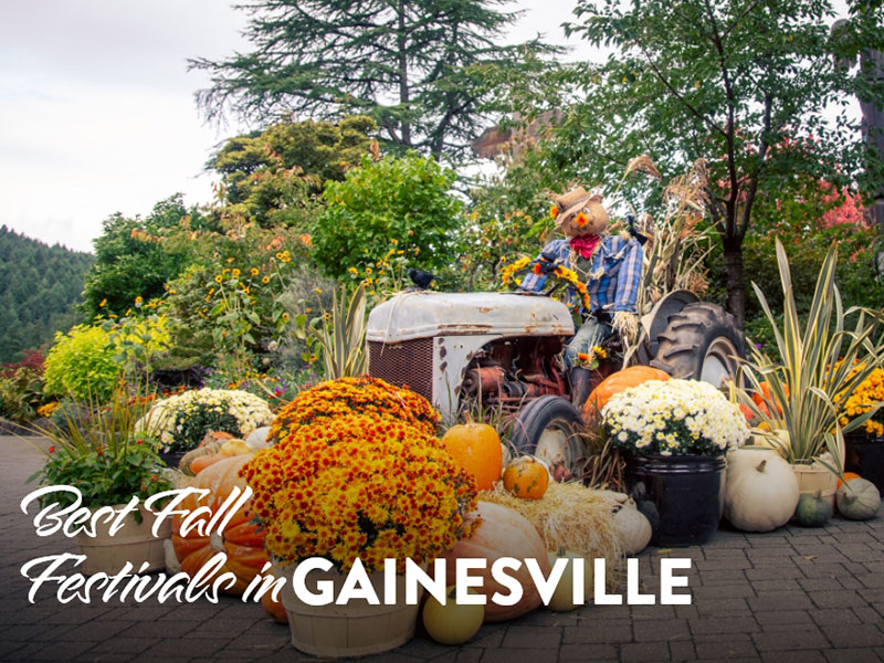 Best Fall Festivals in Gainesville FL