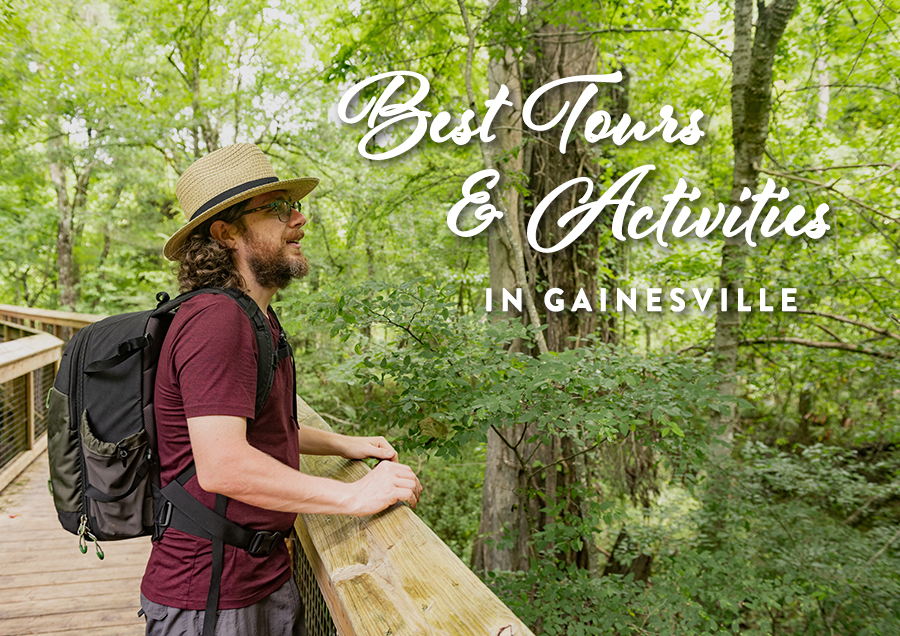 Best Tours and Activities in Gainesville, Florida