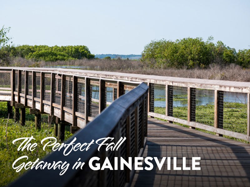 Fall in Love with Gainesville, Florida