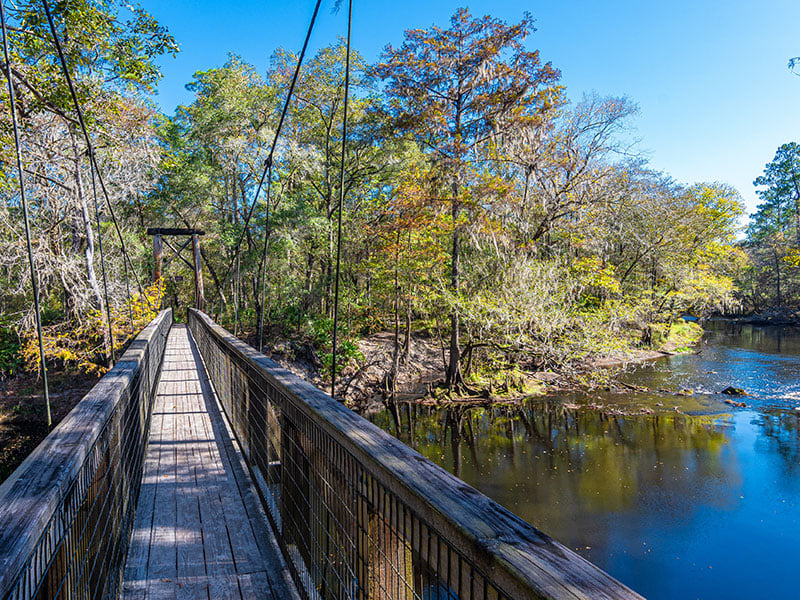 Top 5 Family-Friendly Hiking Trials in Gainesville