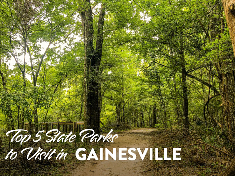 Top 5 State Parks to Visit in Gainesville