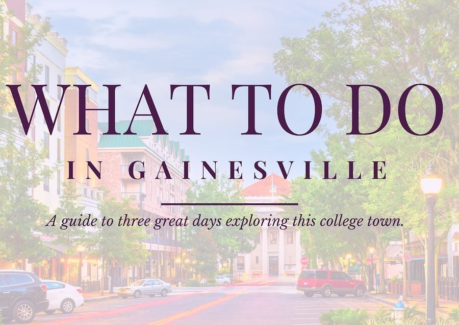 Blog banner - What to do in Gainesville