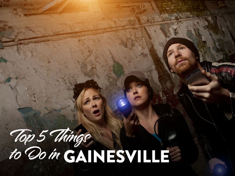 Your Fall Guide to Things to Do in Gainesville