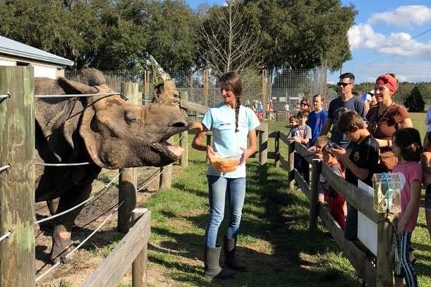 Things to do in Gainesville: Carson Springs animal sanctuary